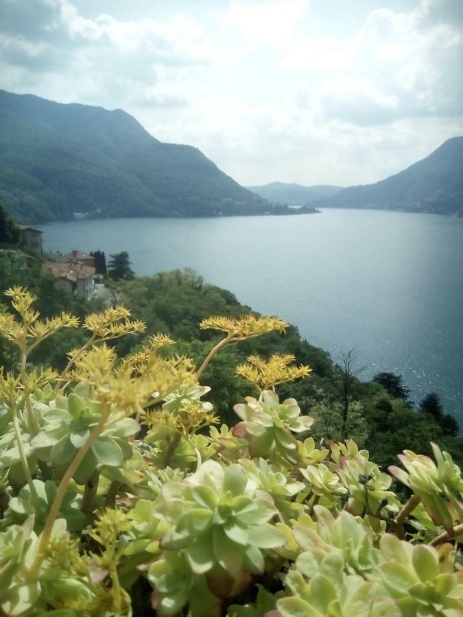 Casa del Borgo Villa Pognana Lario Esterno foto