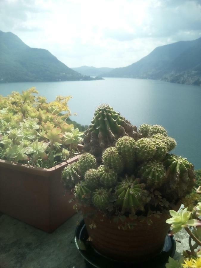 Casa del Borgo Villa Pognana Lario Esterno foto